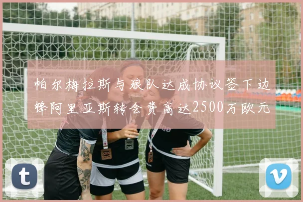 帕尔梅拉斯与狼队达成协议签下边锋阿里亚斯转会费高达2500万欧元