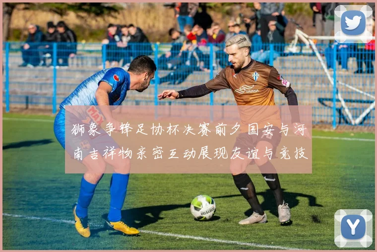 狮象争锋足协杯决赛前夕国安与河南吉祥物亲密互动展现友谊与竞技精神