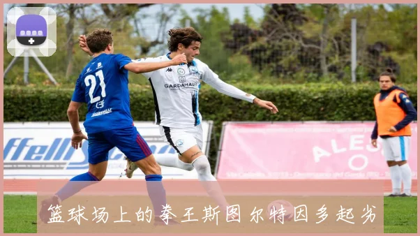 篮球场上的拳王斯图尔特因多起劣迹将面临严厉处罚引发热议